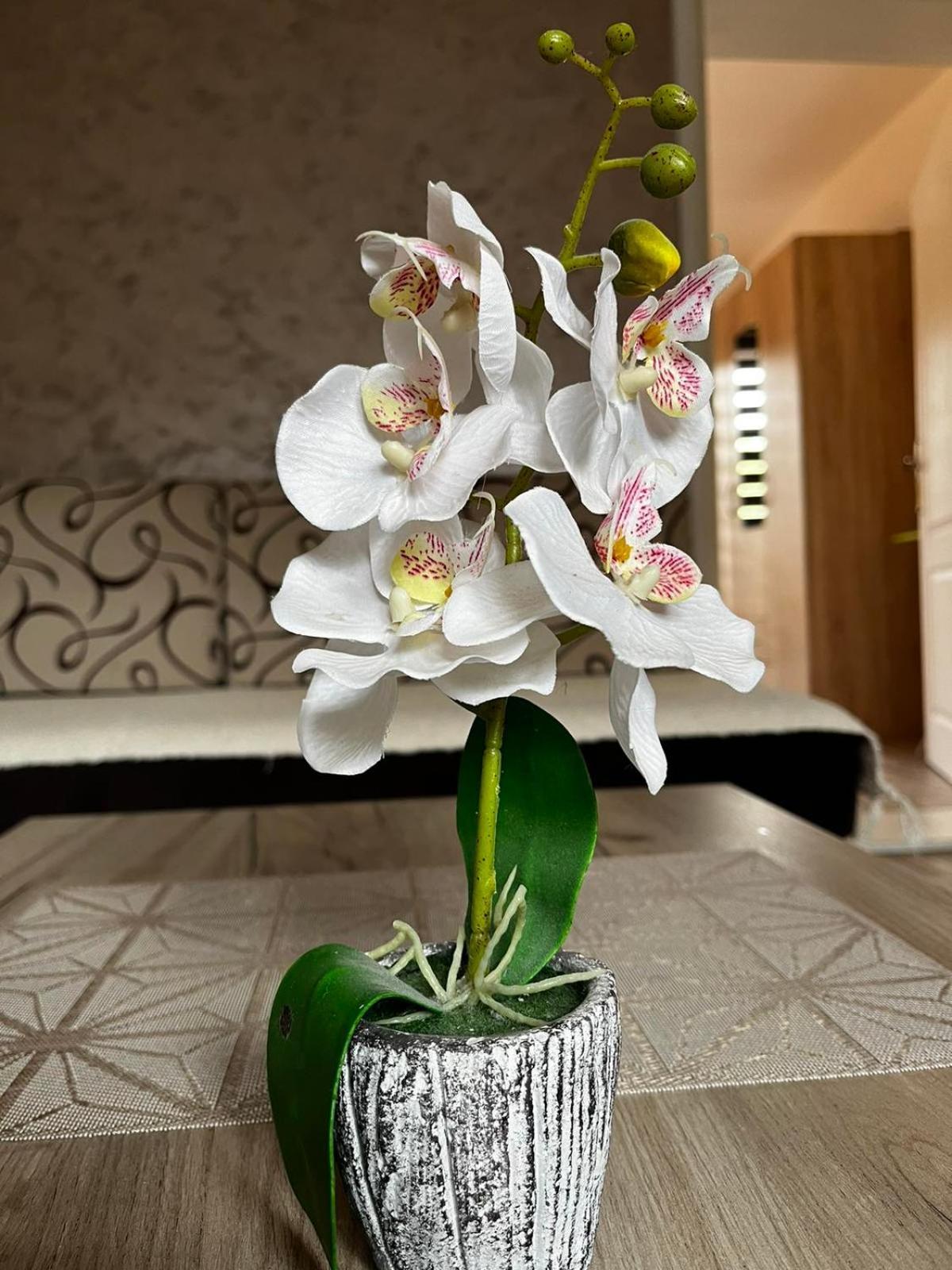 Višegrad Apartmani Nikolic חדר תמונה